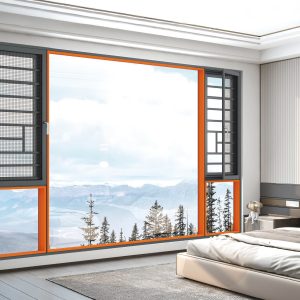 Minimal Frame Doors