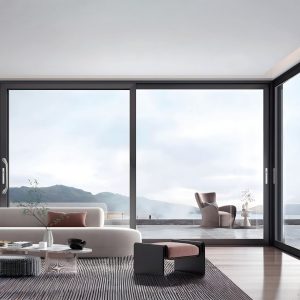Fixed Glass Windows